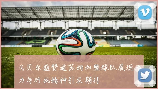 戈贝尔盛赞道苏姆加盟球队展现活力与对抗精神引发期待